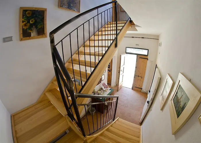 Campanacci 파엔차