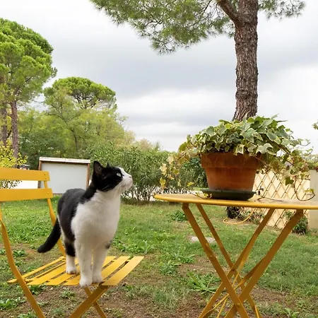 坎帕纳西农场酒店 * 法恩莎