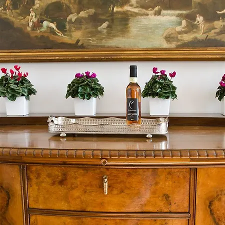 팜스테이 Campanacci 파엔차