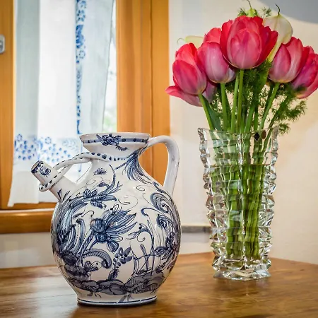 农家乐 坎帕纳西农场酒店 法恩莎