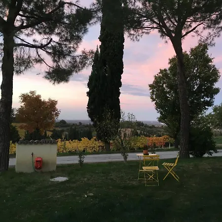 农家乐 坎帕纳西农场酒店 法恩莎